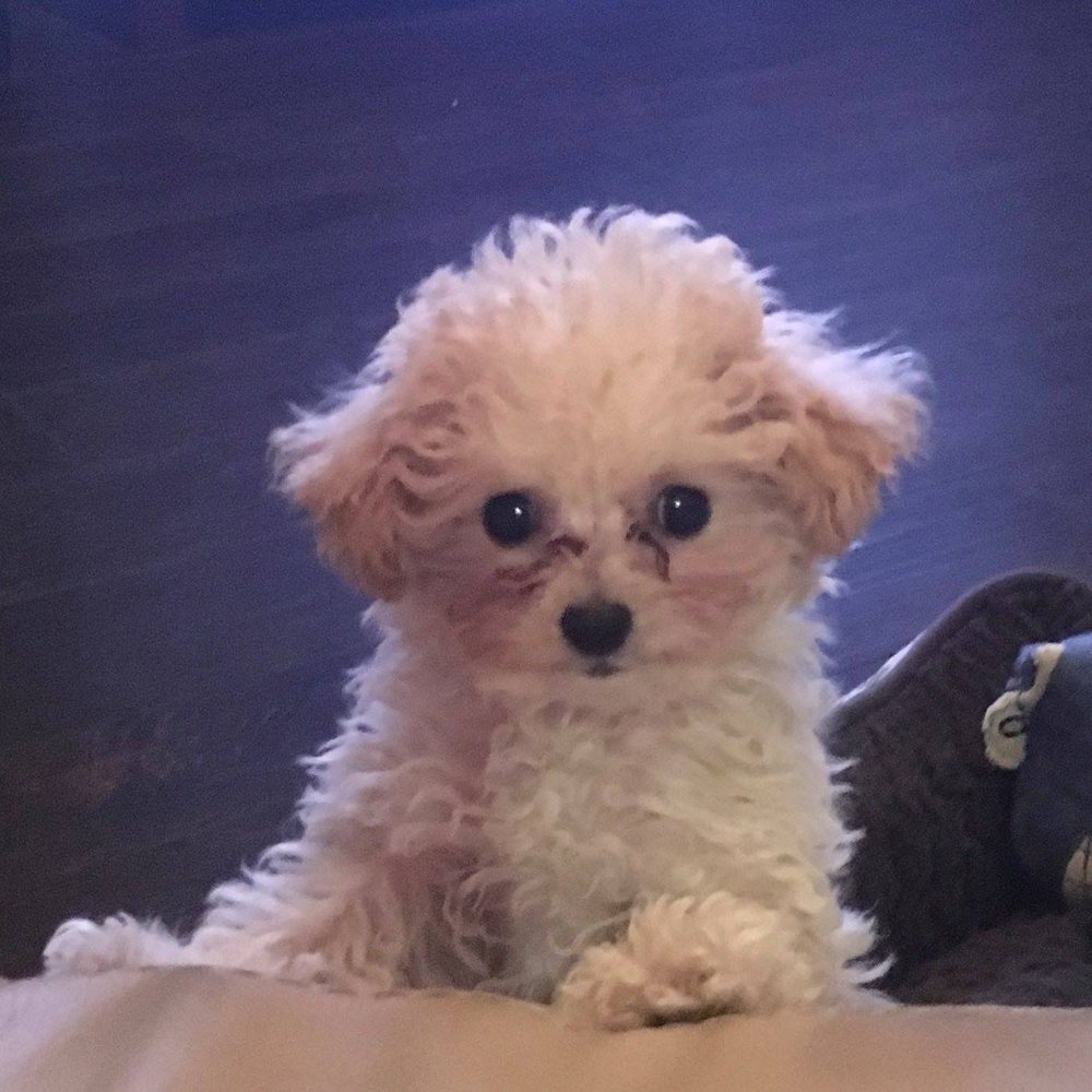 Meet your Posher, Colleen